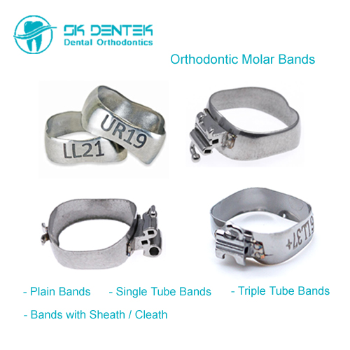Orthodontic Molar Band Series